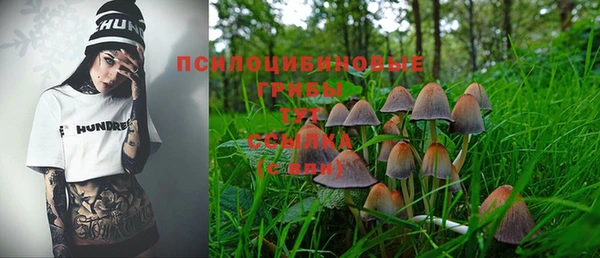 прущая мука Богородск