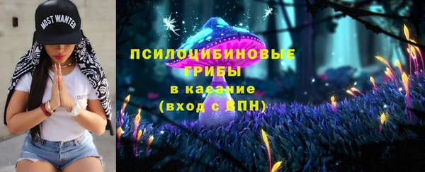 прущая мука Богородск