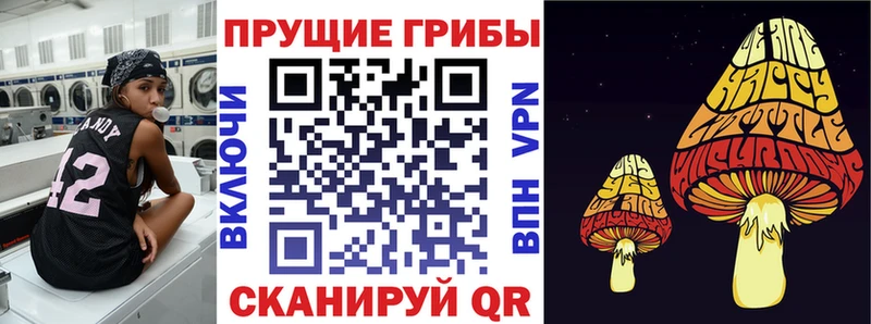 Псилоцибиновые грибы Psilocybine cubensis  Купить где  Белёв 